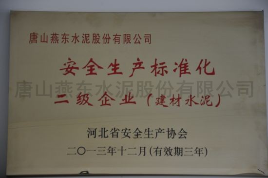 安全生產(chǎn)標準化二級企業(yè)（建材水泥）